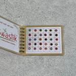 Swastik Pottu Book 2